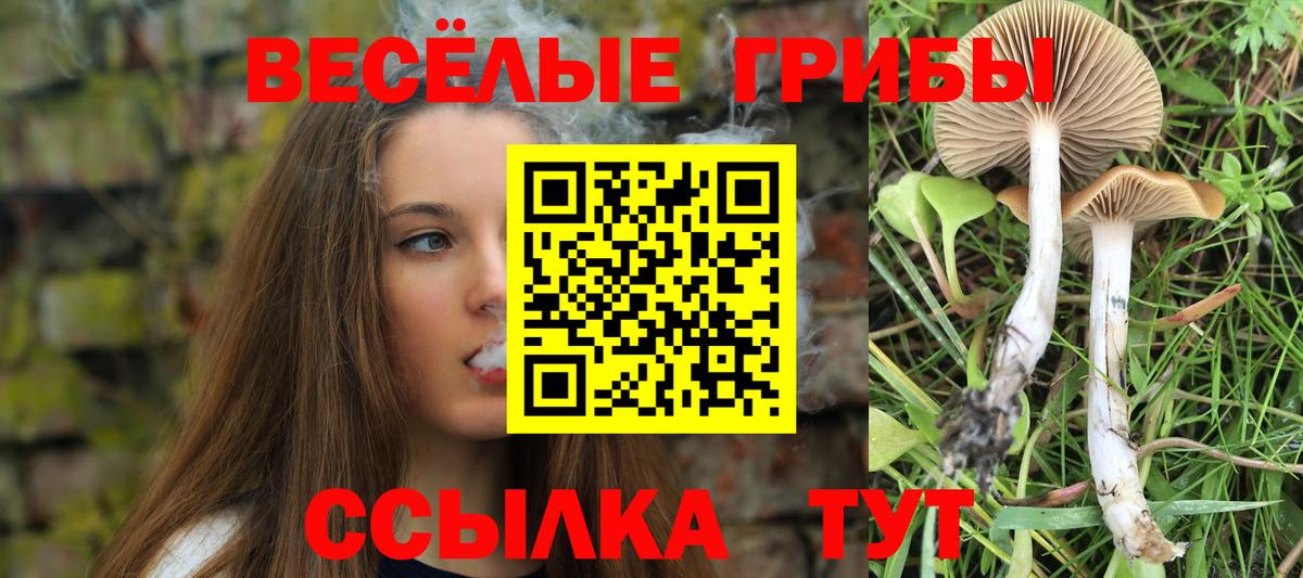 Вязники  Псилоцибиновые грибы Cubensis  Вход с VPN 